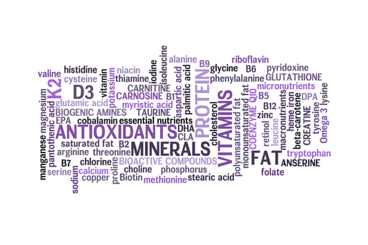 purple word chart of all the different types of nutrients