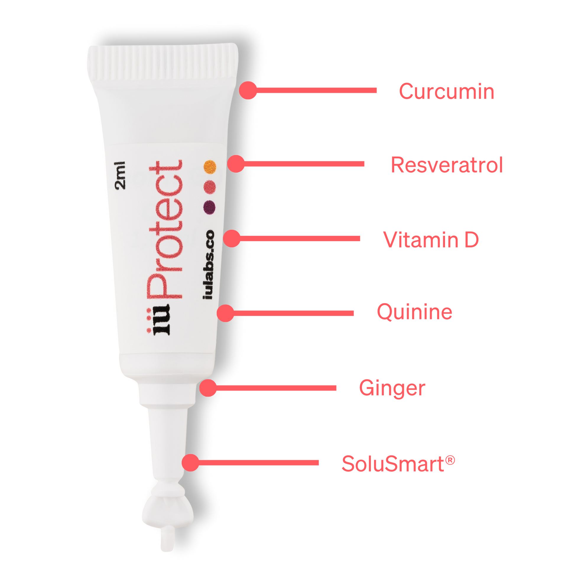 Solute tube ingredients inside supplement iüProtect from iüLabs, immune health support supplement, curcumin, resveratrol, vitamin d, quinine, ginger, and SoluSmart®